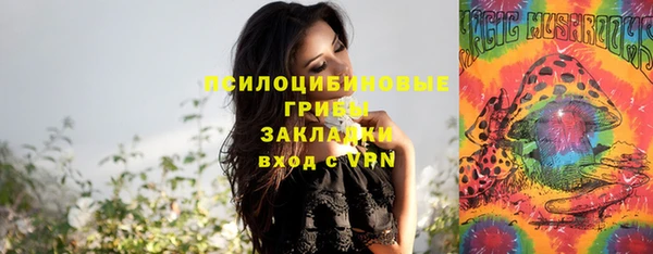 прущие крисы Богданович